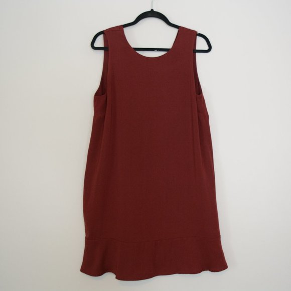 Naked Zebra Dresses & Skirts - SALE! 🫧 Naked Zebra Women's V-Back Shift Dress Large